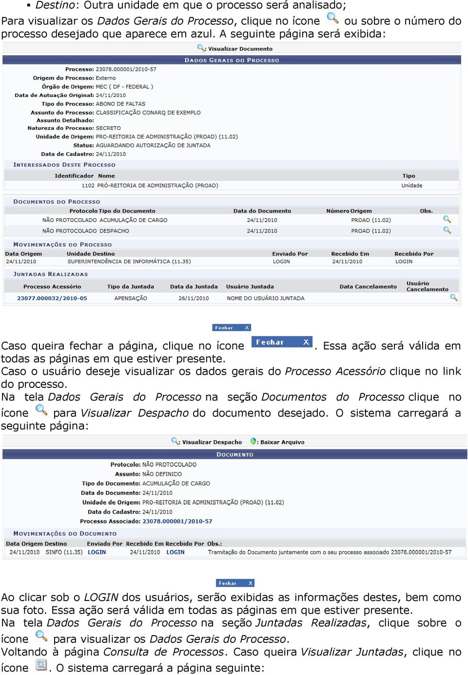 Caso o usuário deseje visualizar os dados gerais do Processo Acessório clique no link do processo.