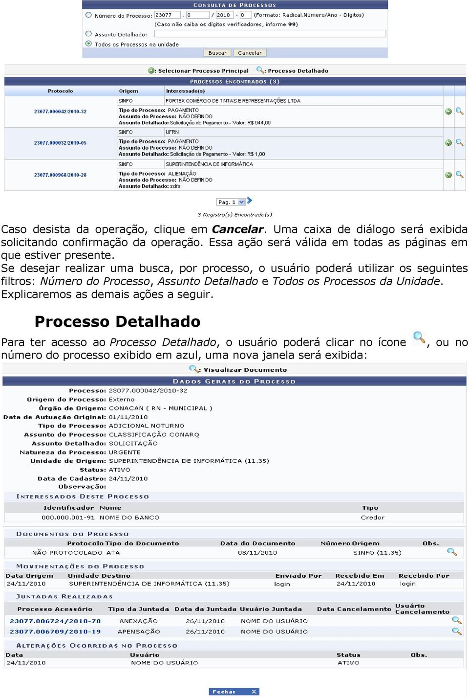 Se desejar realizar uma busca, por processo, o usuário poderá utilizar os seguintes filtros: Número do Processo, Assunto Detalhado e