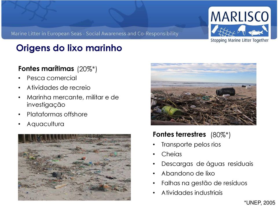 Aquacultura Fontes terrestres (80%*) Transporte pelos rios Cheias Descargas de