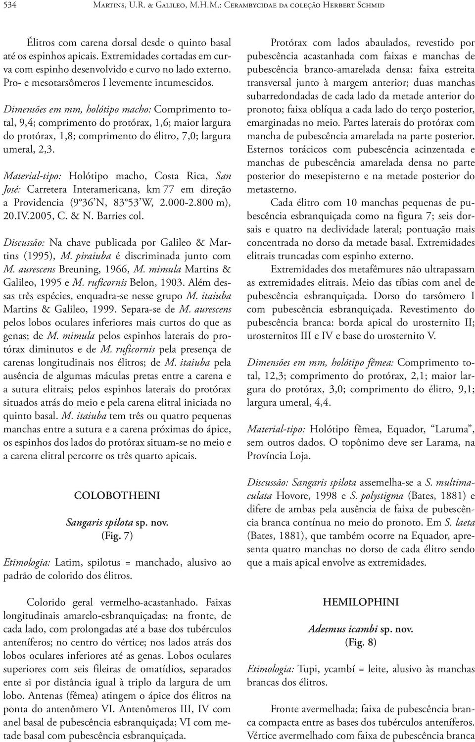 Dimensões em mm, holótipo macho: Comprimento total, 9,4; comprimento do protórax, 1,6; maior largura do protórax, 1,8; comprimento do élitro, 7,0; largura umeral, 2,3.