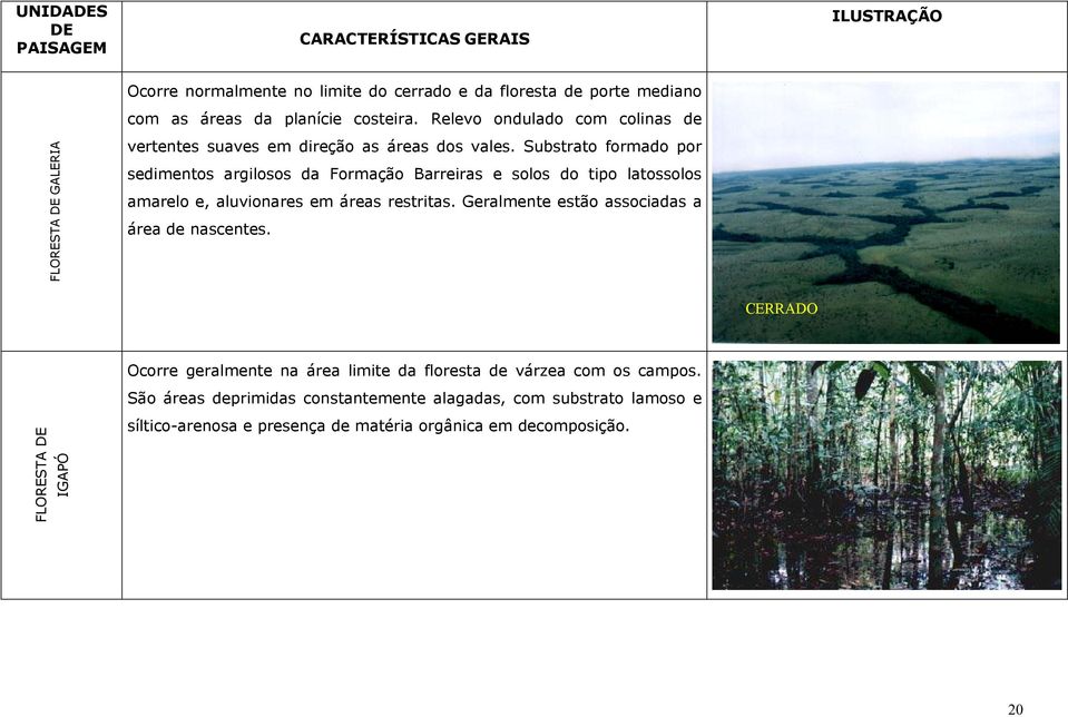 Substrato formado por sedimentos argilosos da Formação Barreiras e solos do tipo latossolos amarelo e, aluvionares em áreas restritas.