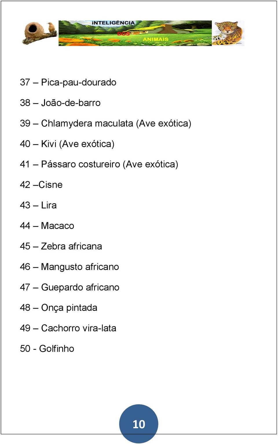 42 Cisne 43 Lira 44 Macaco 45 Zebra africana 46 Mangusto africano 47