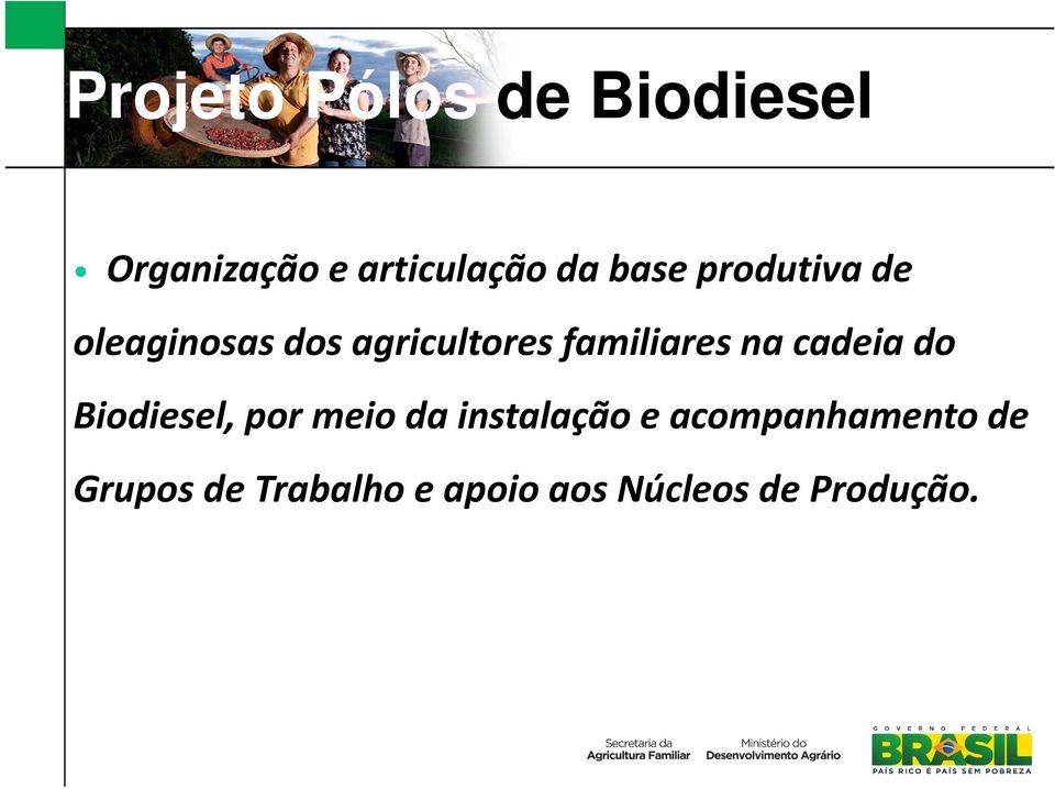 na cadeia do Biodiesel, por meio da instalação e