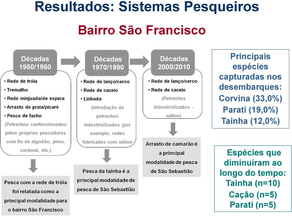 (33,0%) Parati (19,0%) Tainha (12,0%) Espécies que