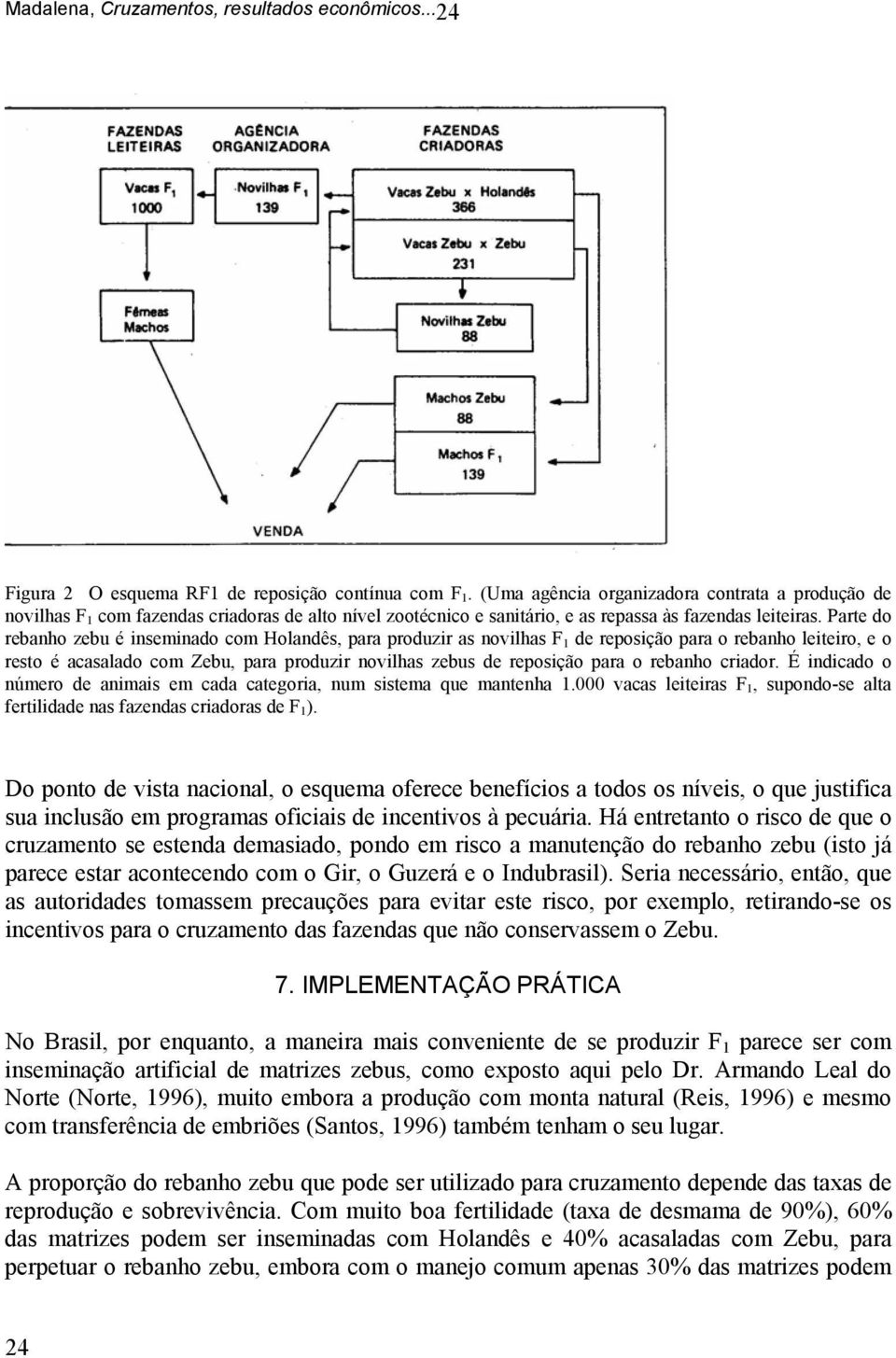 Parte do rebanho zebu é inseminado com Holandês, para produzir as novilhas F 1 de reposição para o rebanho leiteiro, e o resto é acasalado com Zebu, para produzir novilhas zebus de reposição para o