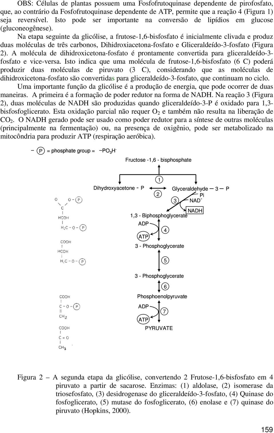 Na etapa seguinte da glicólise, a frutose-1,6-bisfosfato é inicialmente clivada e produz duas moléculas de três carbonos, Dihidroxiacetona-fosfato e Gliceraldeído-3-fosfato (Figura 2).