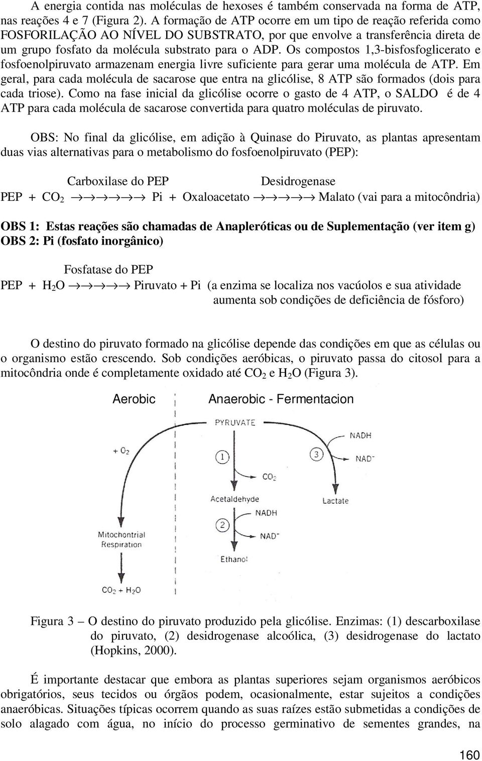 Os compostos 1,3-bisfosfoglicerato e fosfoenolpiruvato armazenam energia livre suficiente para gerar uma molécula de ATP.