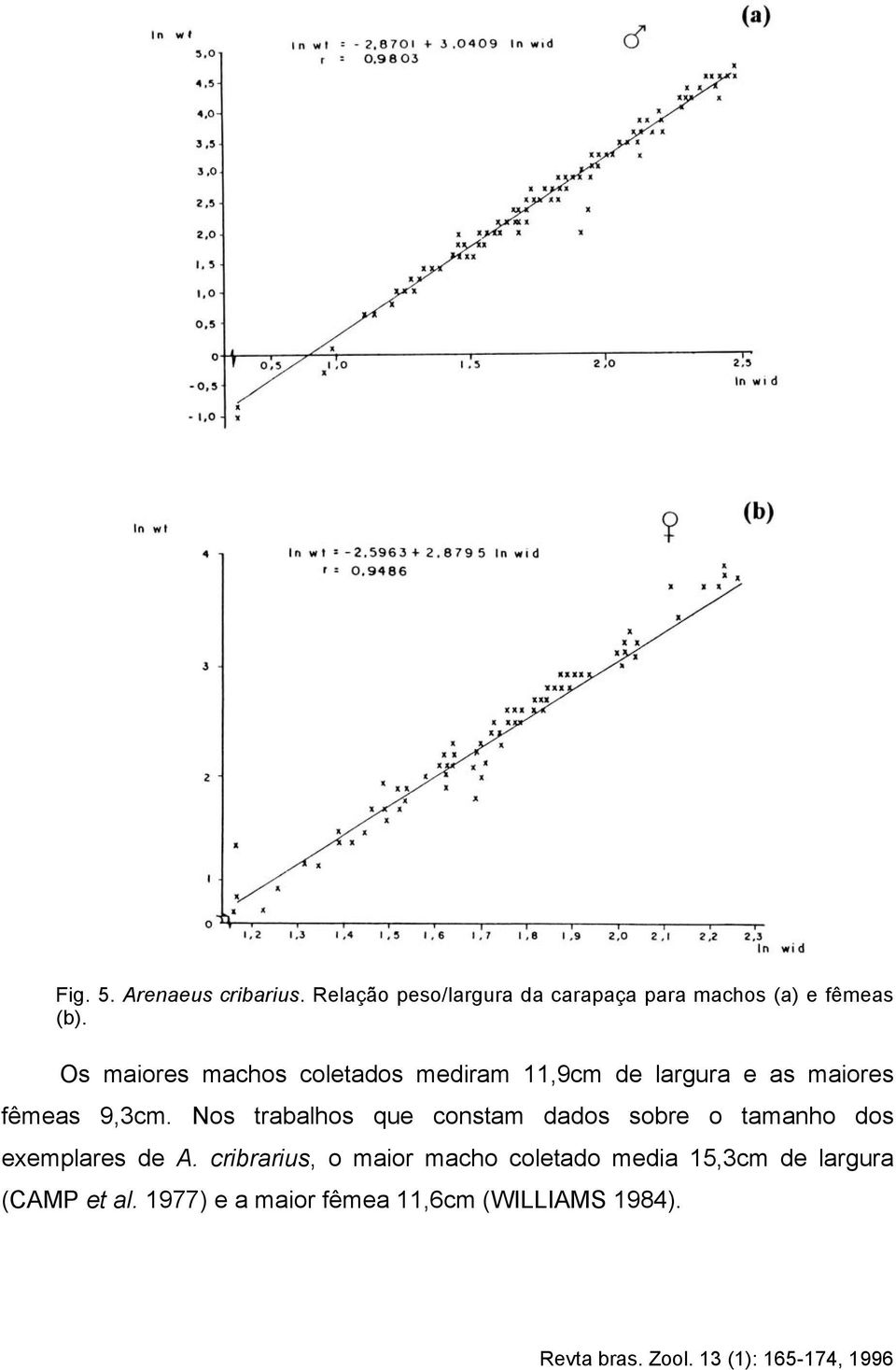 Nos trabalhos que constam dados sobre o tamanho dos exemplares de A.