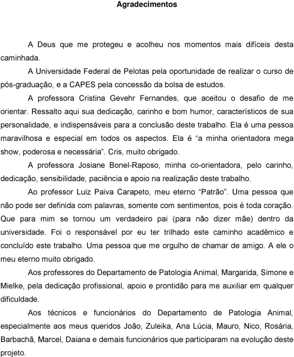 A professora Cristina Gevehr Fernandes, que aceitou o desafio de me orientar.