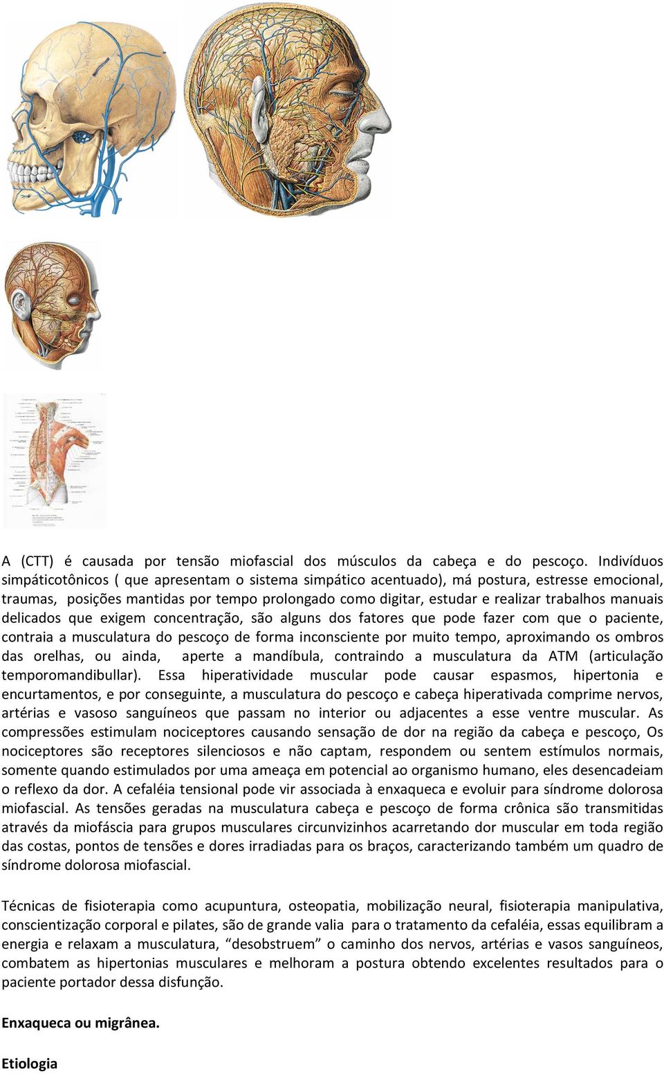 manuais delicados que exigem concentração, são alguns dos fatores que pode fazer com que o paciente, contraia a musculatura do pescoço de forma inconsciente por muito tempo, aproximando os ombros das