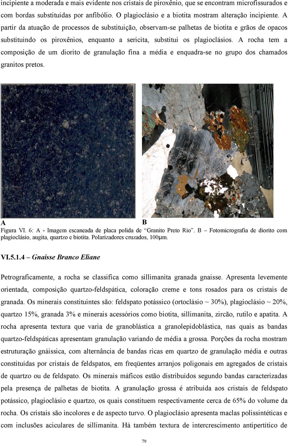 rocha tem a composição de um diorito de granulação fina a média e enquadra-se no grupo dos chamados granitos pretos. Figura VI. 6: - Imagem escaneada de placa polida de Granito Preto Rio.