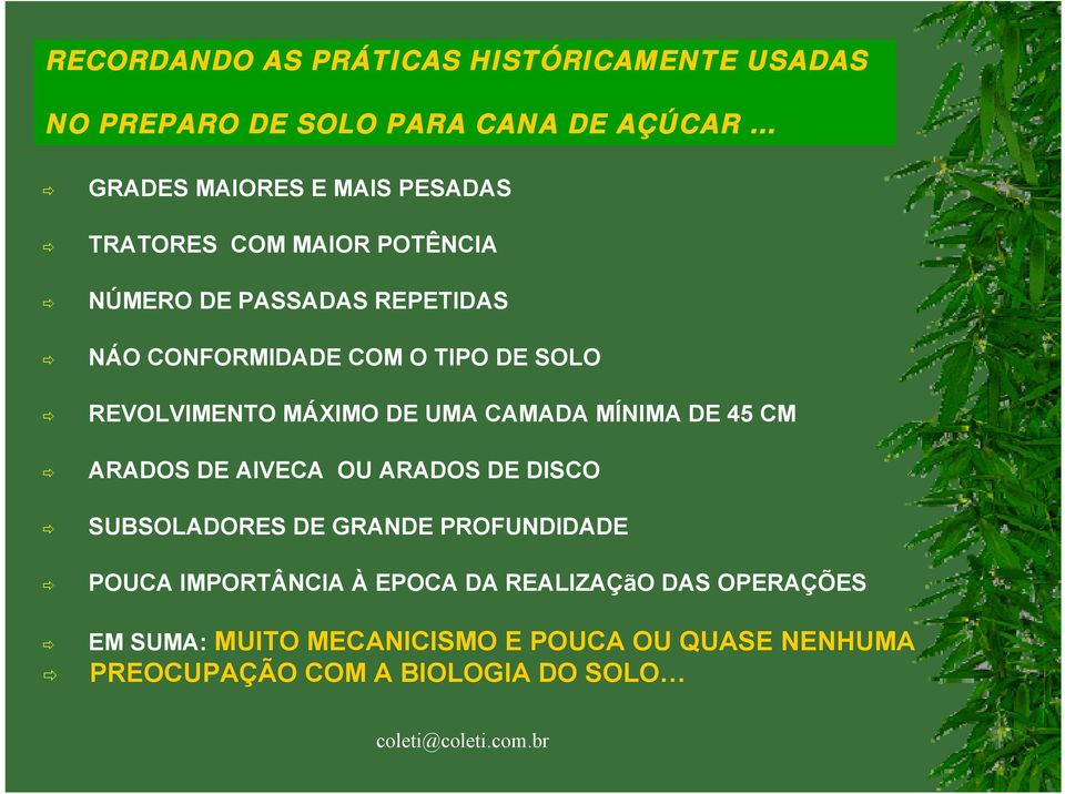 UMA CAMADA MÍNIMA DE 45 CM ARADOS DE AIVECA OU ARADOS DE DISCO SUBSOLADORES DE GRANDE PROFUNDIDADE POUCA IMPORTÂNCIA