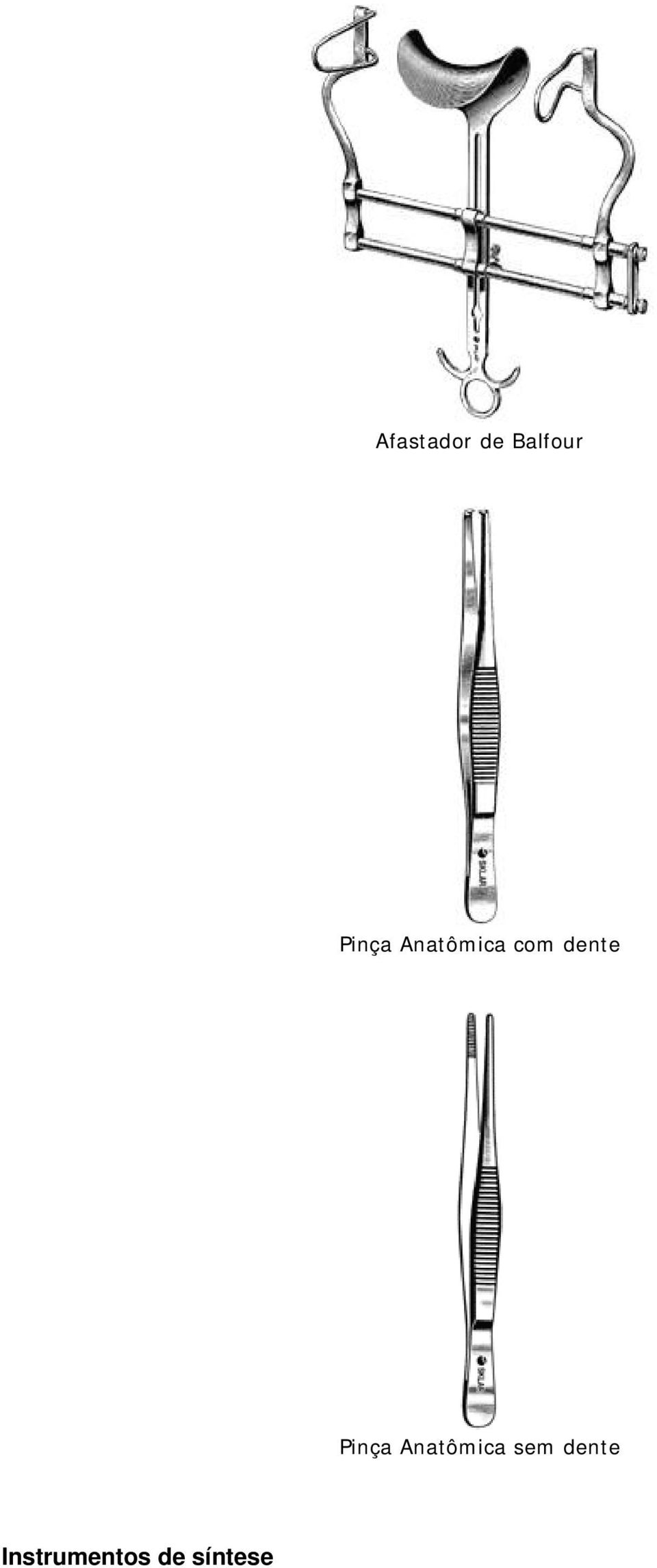 dente Pinça Anatômica