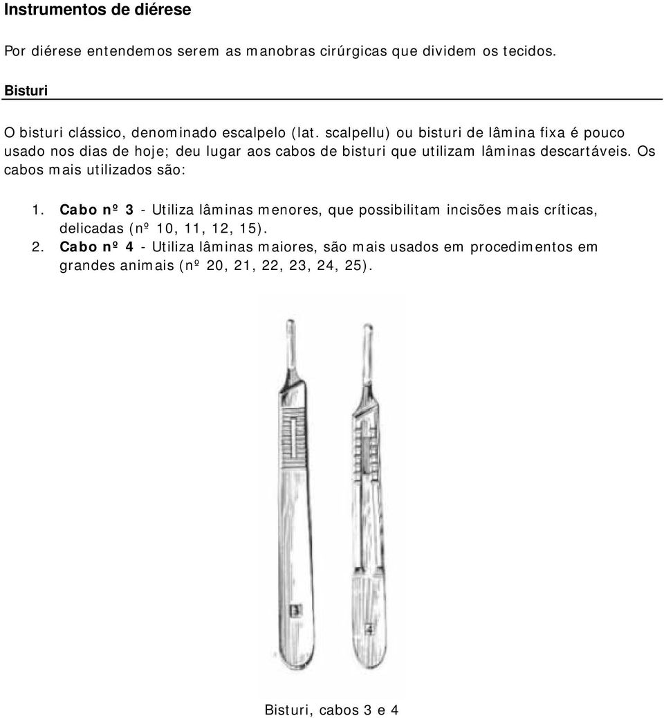 scalpellu) ou bisturi de lâmina fixa é pouco usado nos dias de hoje; deu lugar aos cabos de bisturi que utilizam lâminas descartáveis.