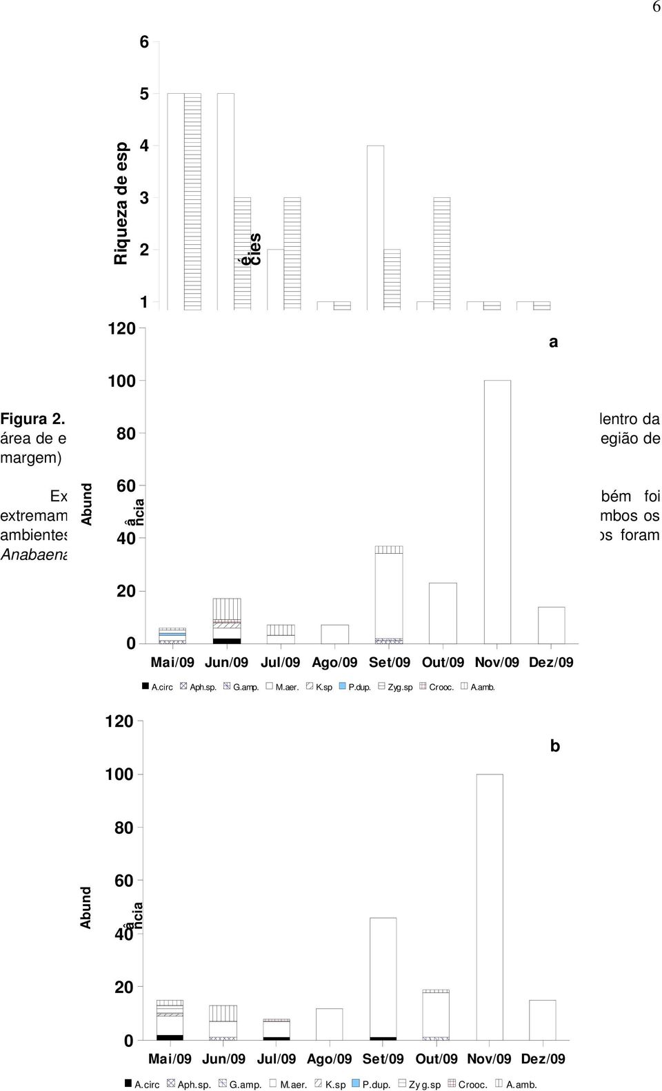 táxons durante todo o período de estudos e em ambos os ambientes (Figura 43). As espécies que mais contribuíram em número de indivíduos foram Anabaena circinalis e Aulacoseira ambigua.