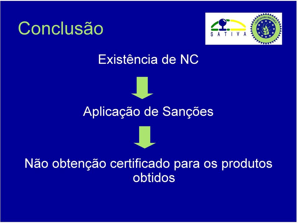 Não obtenção certificado