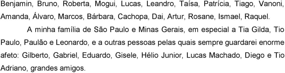 A minha família de São Paulo e Minas Gerais, em especial a Tia Gilda, Tio Paulo, Paulão e Leonardo, e a