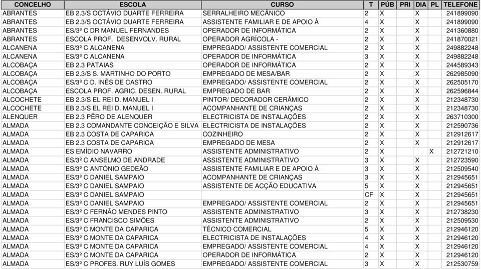 RURAL OPERADOR AGRÍCOLA - 2 X X 241870021 ALCANENA ES/3º C ALCANENA EMPREGADO/ ASSISTENTE COMERCIAL 2 X X 249882248 ALCANENA ES/3º C ALCANENA OPERADOR DE INFORMÁTICA 3 X X 249882248 ALCOBAÇA EB 2.