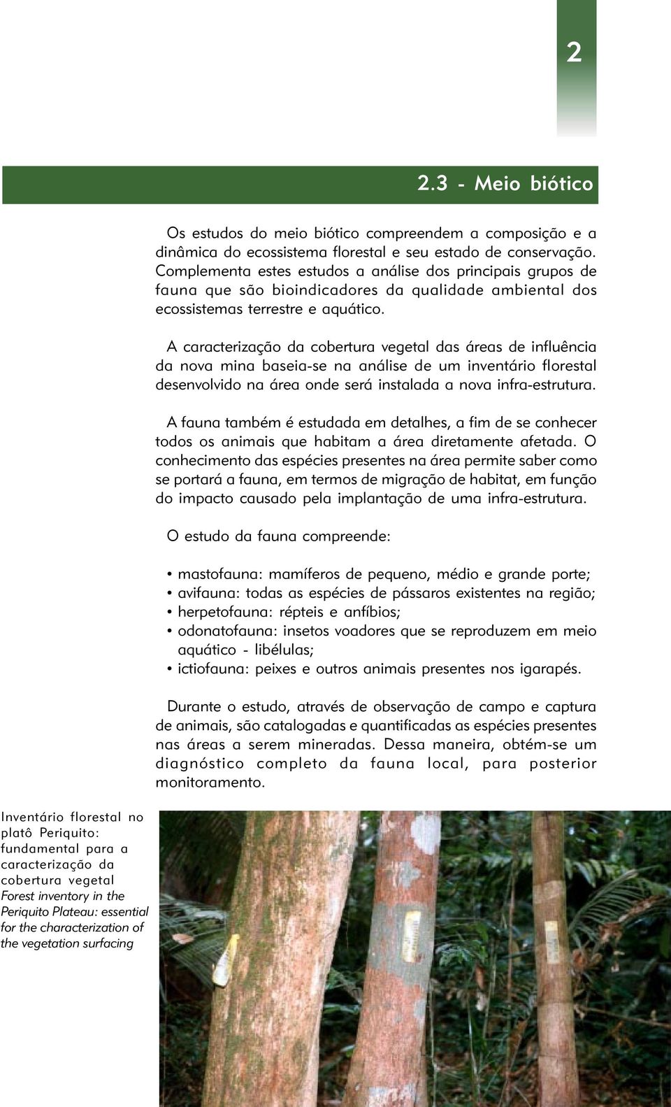 A caracterização da cobertura vegetal das áreas de influência da nova mina baseia-se na análise de um inventário florestal desenvolvido na área onde será instalada a nova infra-estrutura.