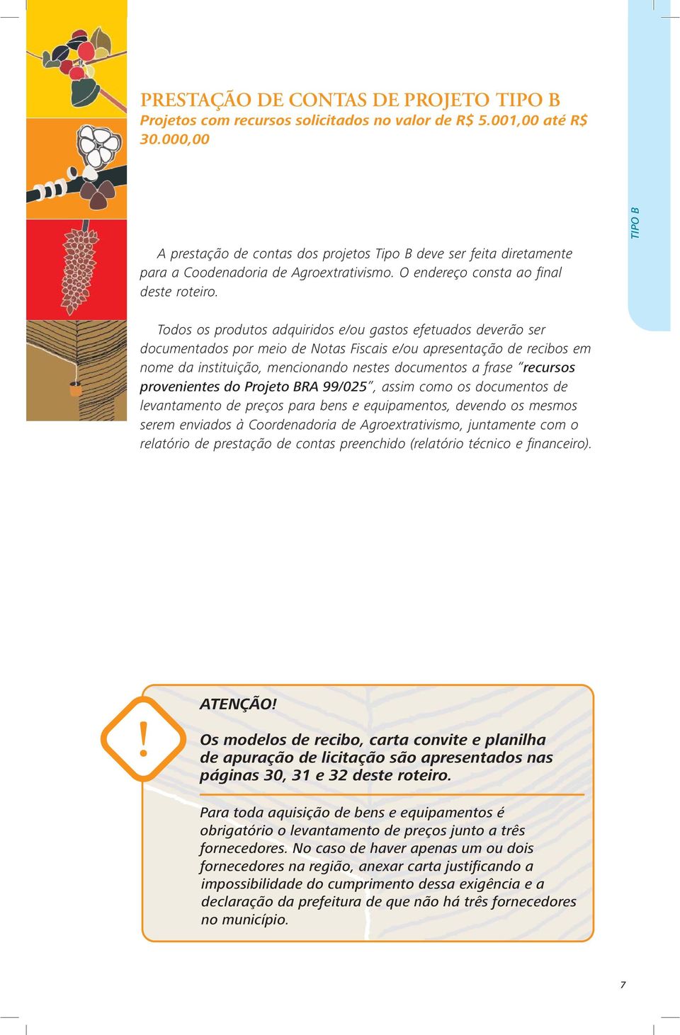 TIPO B Todos os produtos adquiridos e/ou gastos efetuados deverão ser documentados por meio de Notas Fiscais e/ou apresentação de recibos em nome da instituição, mencionando nestes documentos a frase