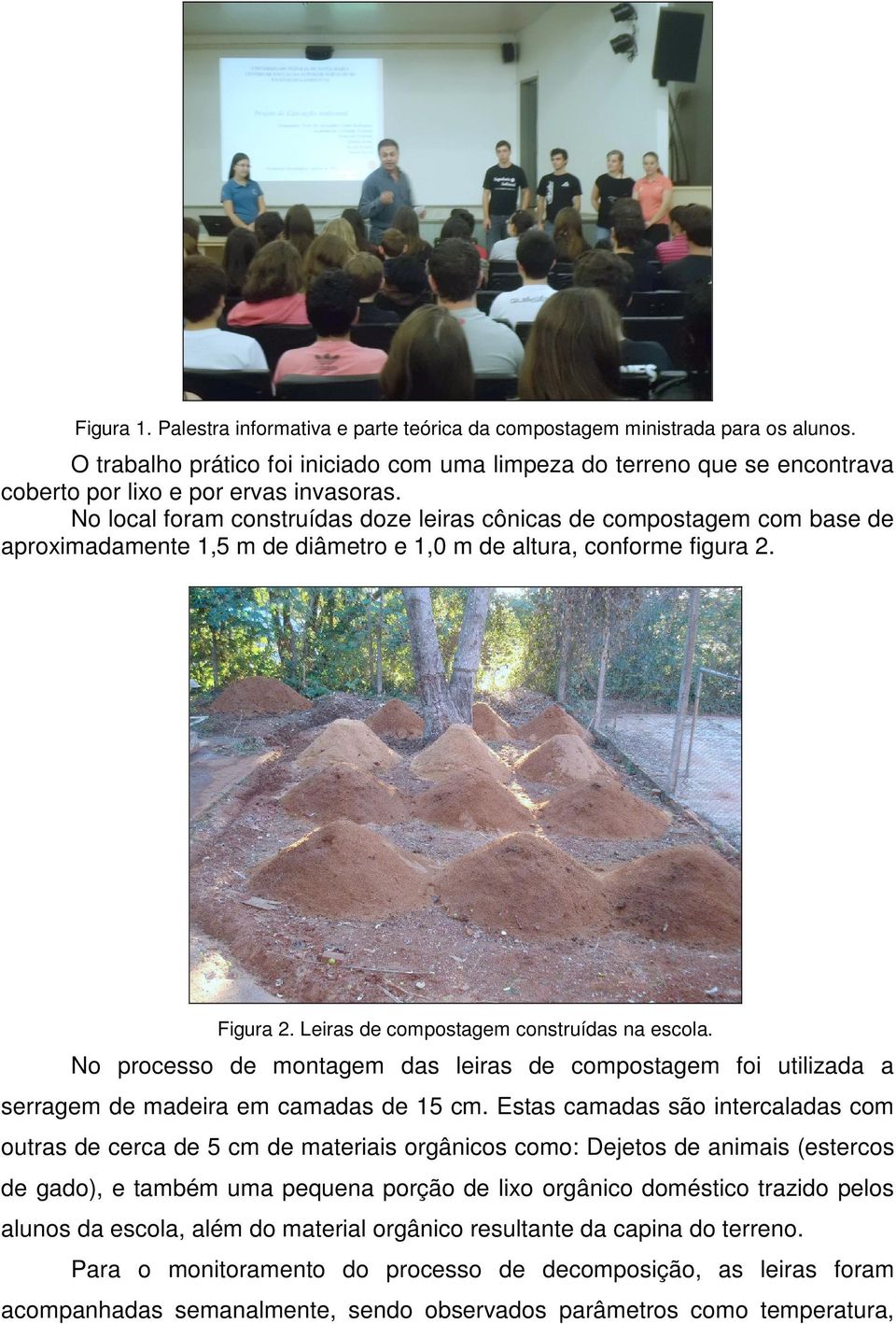 No local foram construídas doze leiras cônicas de compostagem com base de aproximadamente 1,5 m de diâmetro e 1,0 m de altura, conforme figura 2. Figura 2. Leiras de compostagem construídas na escola.