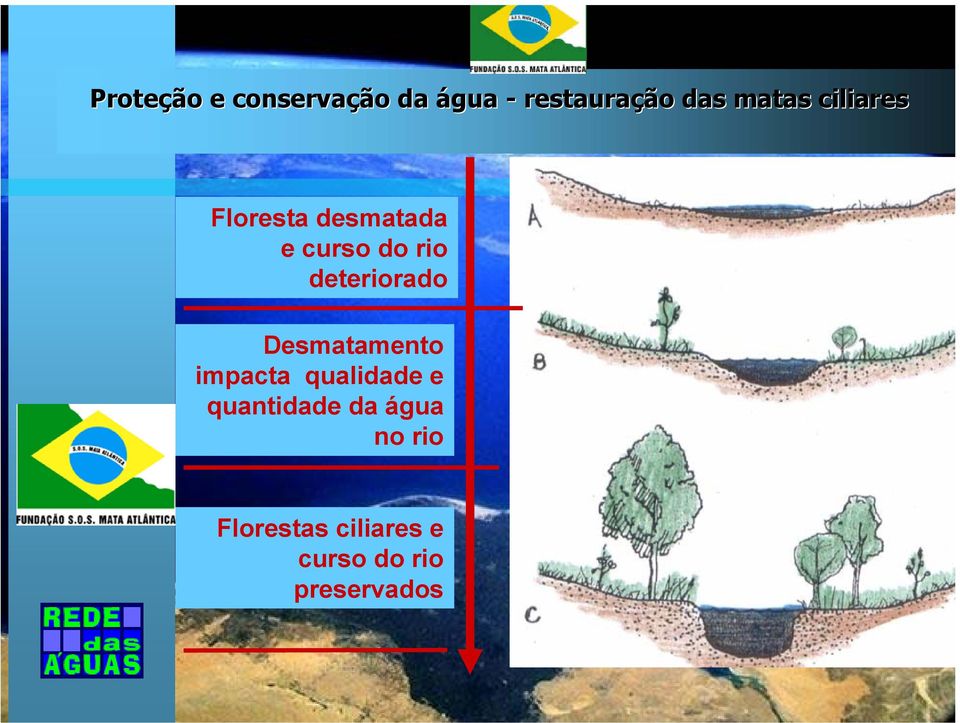 deteriorado Desmatamento impacta qualidade e