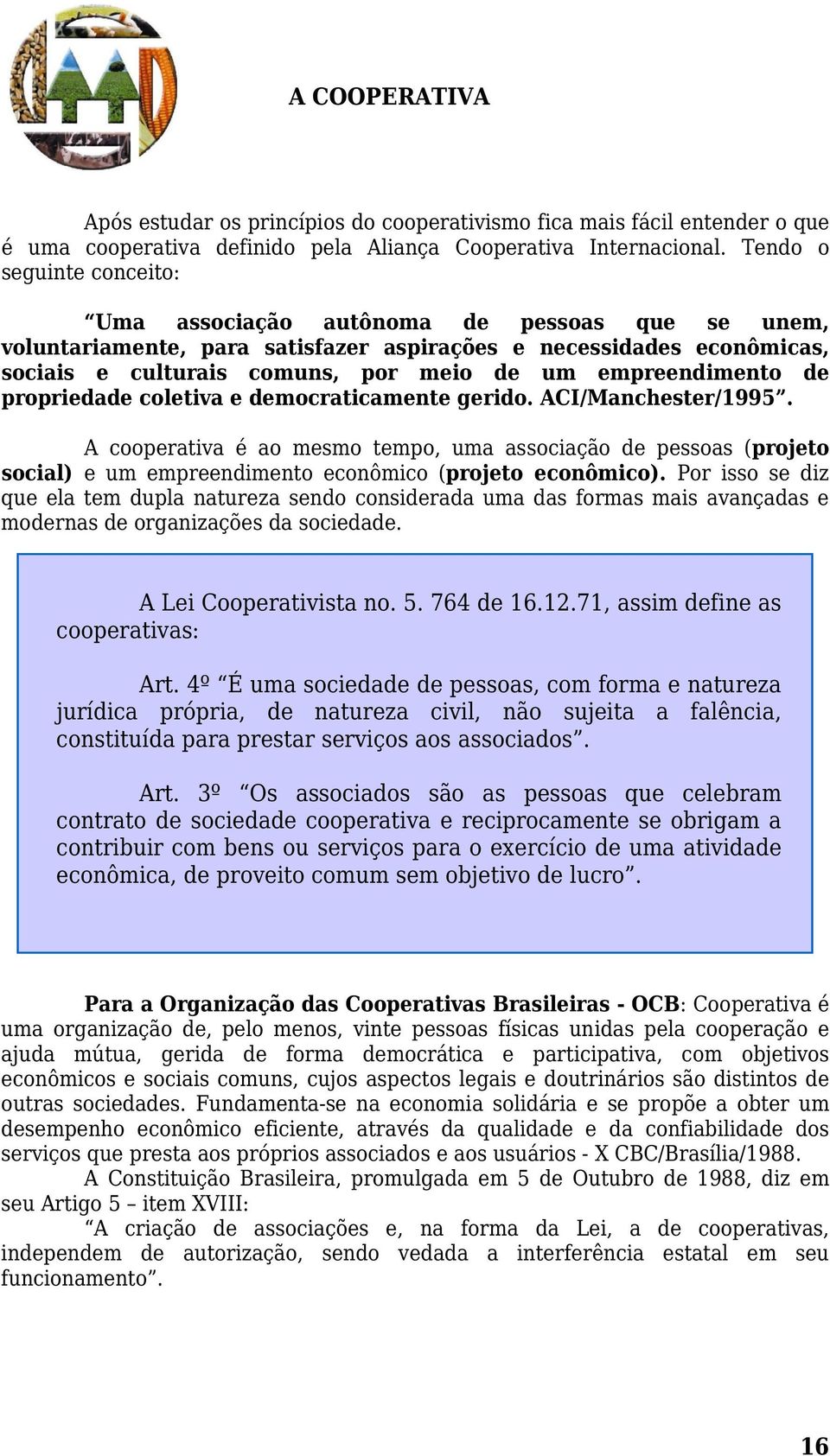 empreendimento de propriedade coletiva e democraticamente gerido. ACI/Manchester/1995.