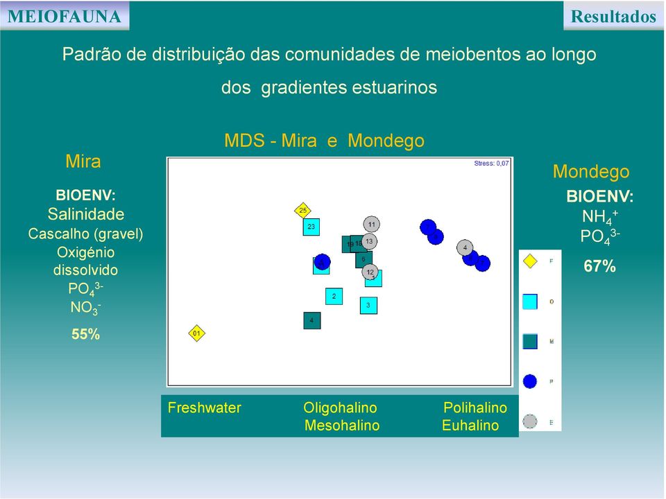 (gravel) Oxigénio dissolvido PO 3-4 NO - 3 55% MDS - Mira e Mondego