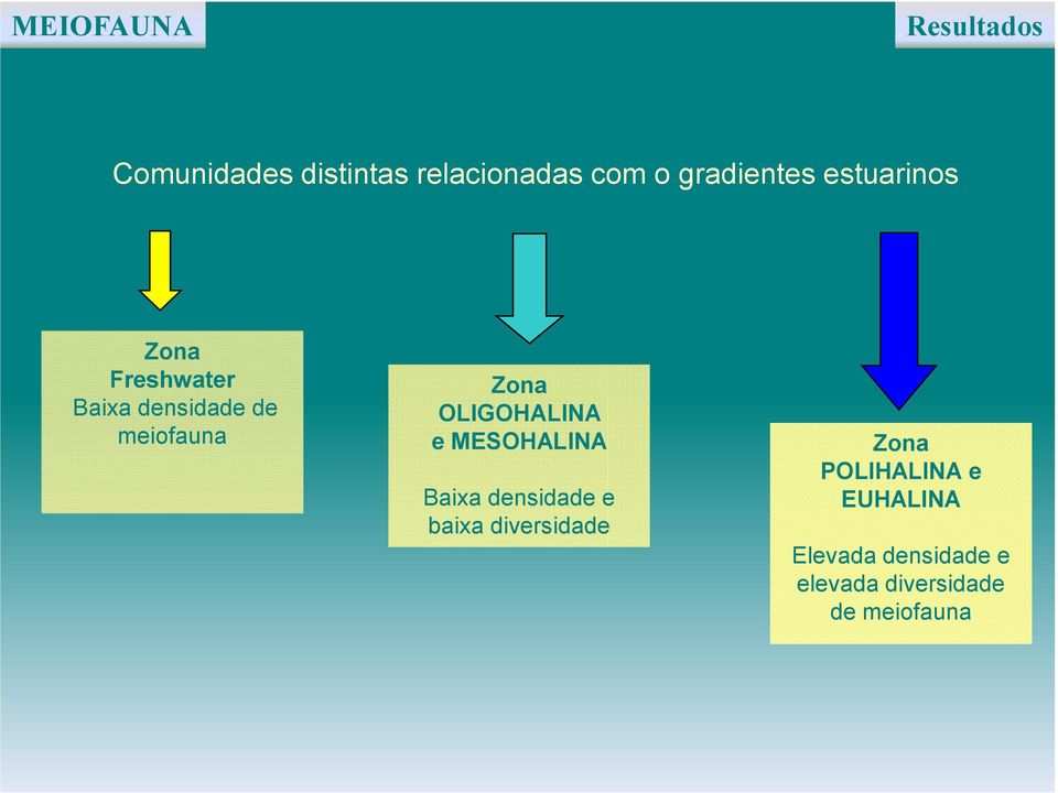 Zona OLIGOHALINA e MESOHALINA Baixa densidade e baixa diversidade