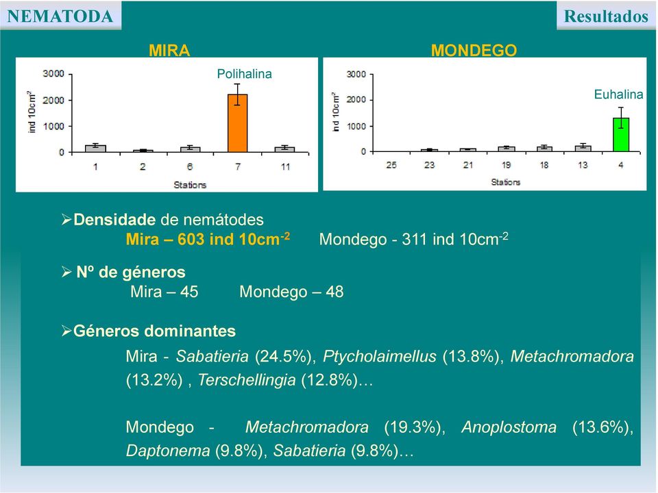 - Sabatieria (24.5%), Ptycholaimellus (13.8%), Metachromadora (13.2%),Terschellingia (12.