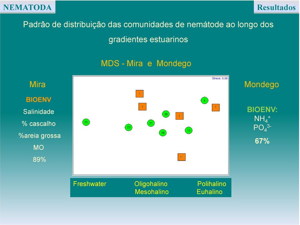 Mira BIOENV Salinidade % cascalho %areia grossa MO 89% Mondego