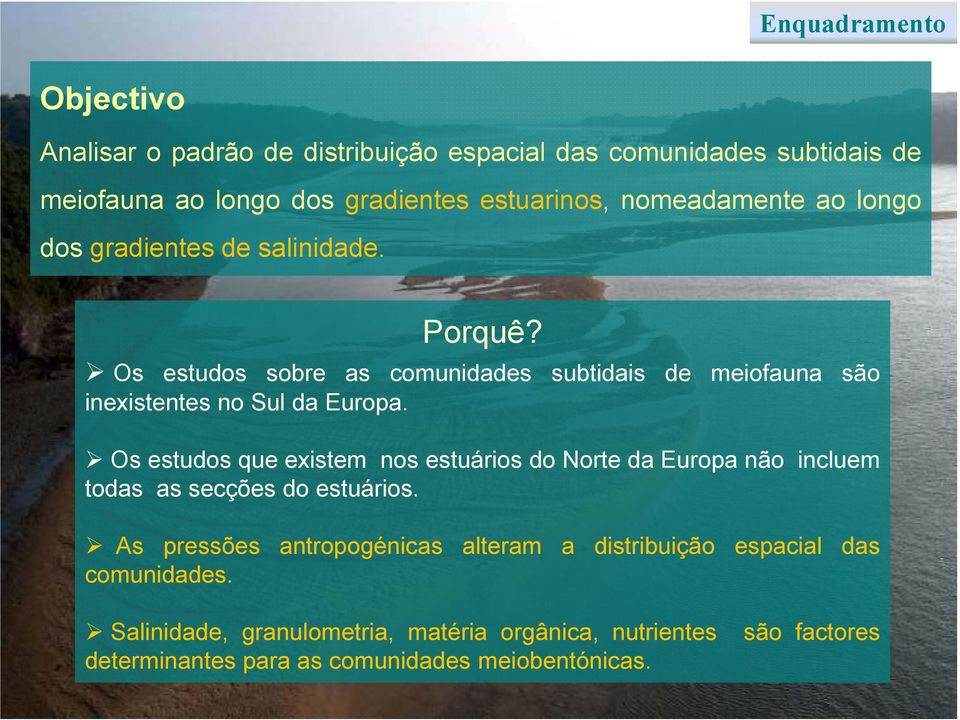 Os estudos sobre as comunidades subtidais de meiofauna são inexistentes no Sul da Europa.