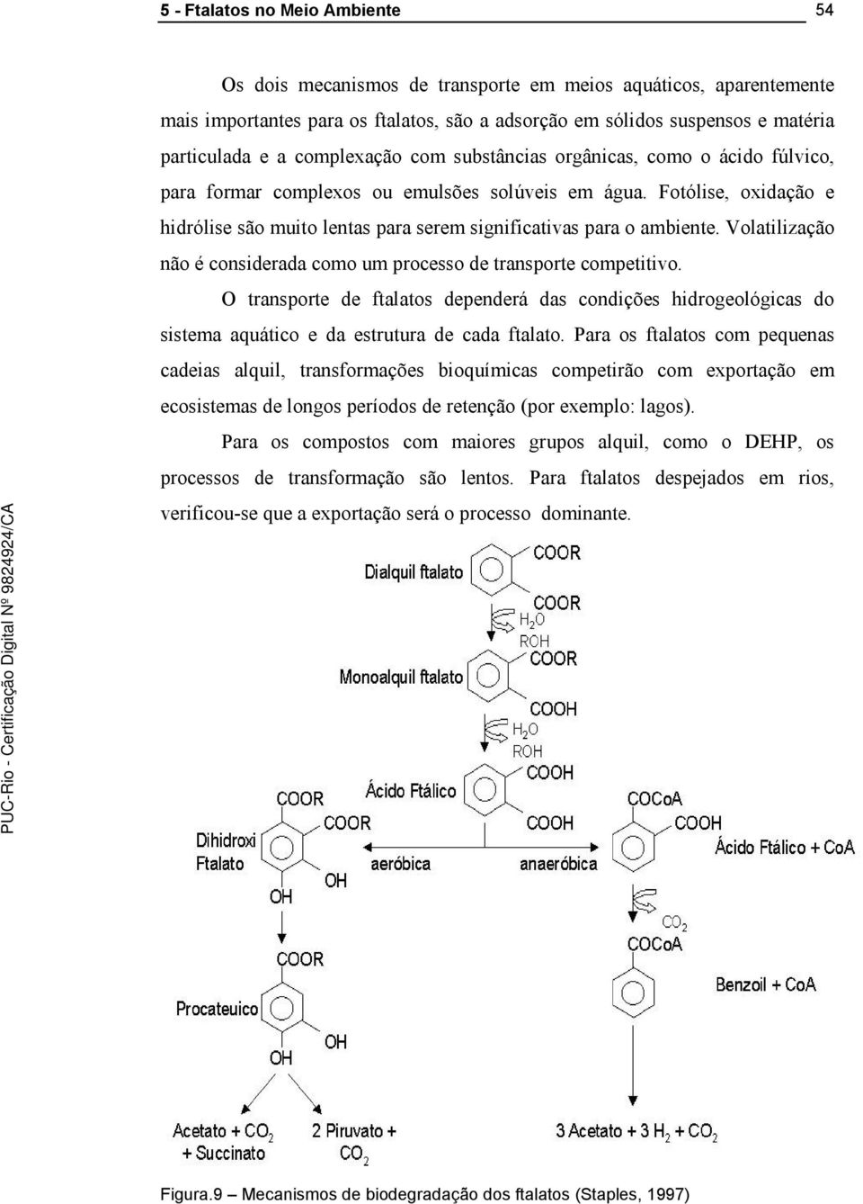 Fotólise, oxidação e hidrólise são muito lentas para serem significativas para o ambiente. Volatilização não é considerada como um processo de transporte competitivo.