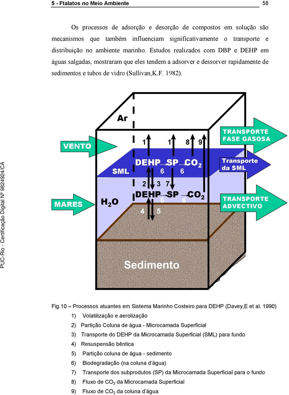 Ar VENTO 1 1 8 9 TRANSPORTE FASE GASOSA SML DEHP SP CO 2 6 6 Transporte da SML 2 3 7 MARES H 2 O DEHP SP CO 2 4 5 6 6 TRANSPORTE ADVECTIVO Sedimento Fig.