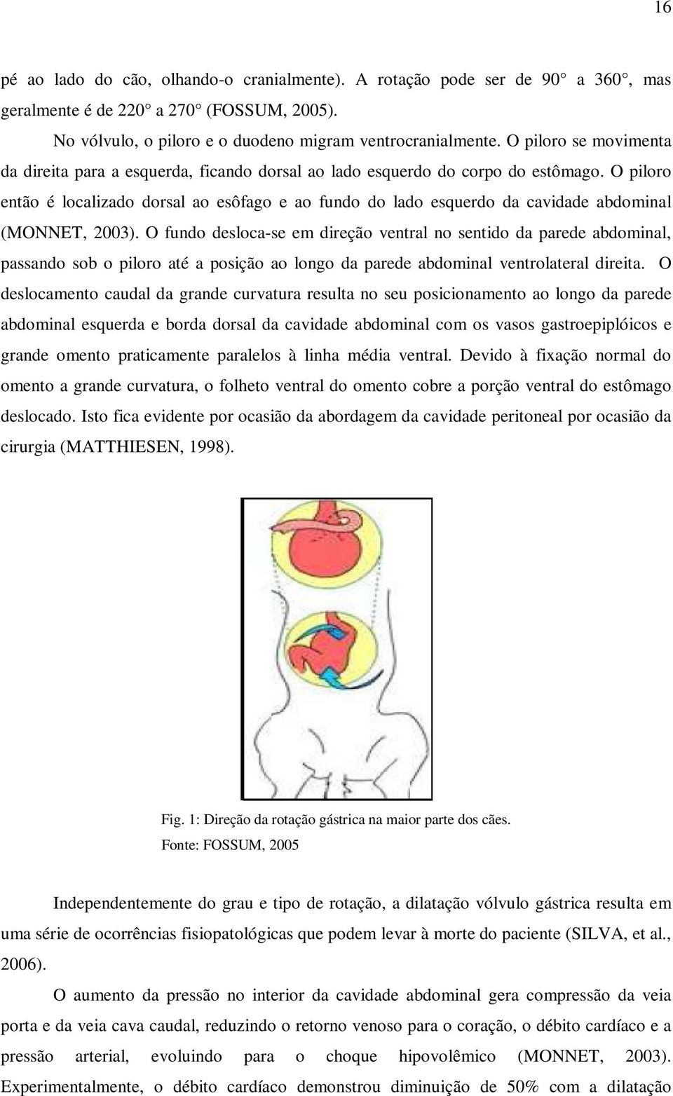 O piloro então é localizado dorsal ao esôfago e ao fundo do lado esquerdo da cavidade abdominal (MONNET, 2003).