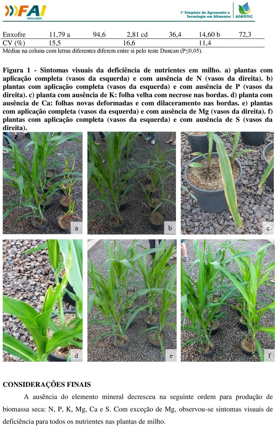 b) plantas com aplicação completa (vasos da esquerda) e com ausência de P (vasos da direita). c) planta com ausência de K: folha velha com necrose nas bordas.