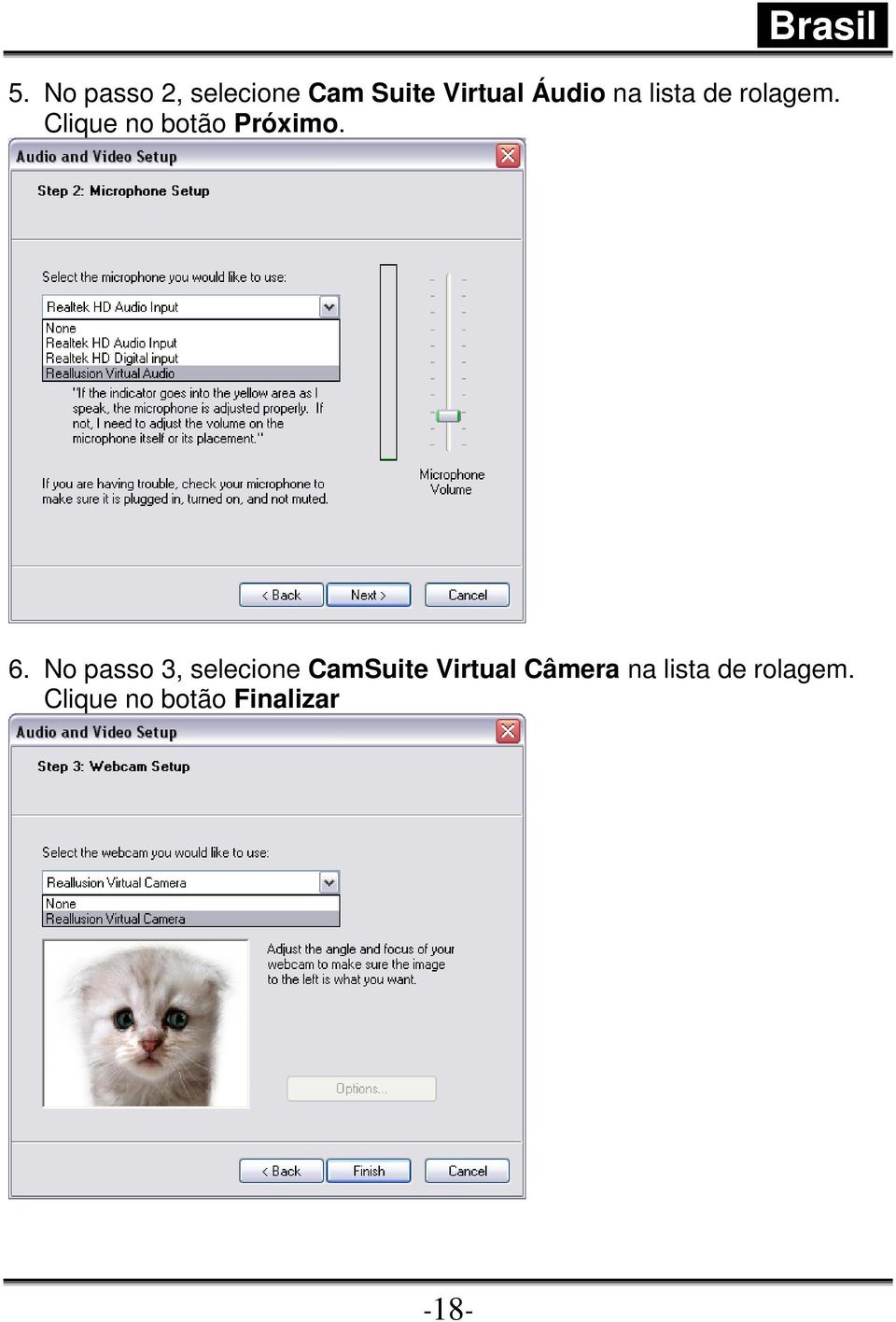 No passo 3, selecione CamSuite Virtual Câmera na