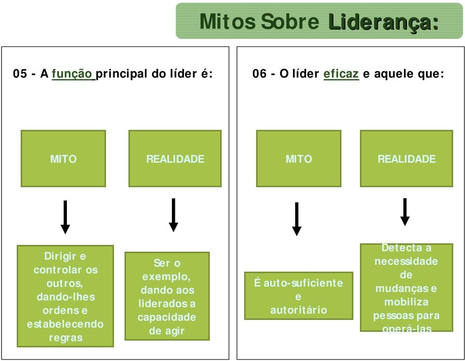 ordens e estabelecendo regras Ser o exemplo, dando aos liderados a capacidade de agir