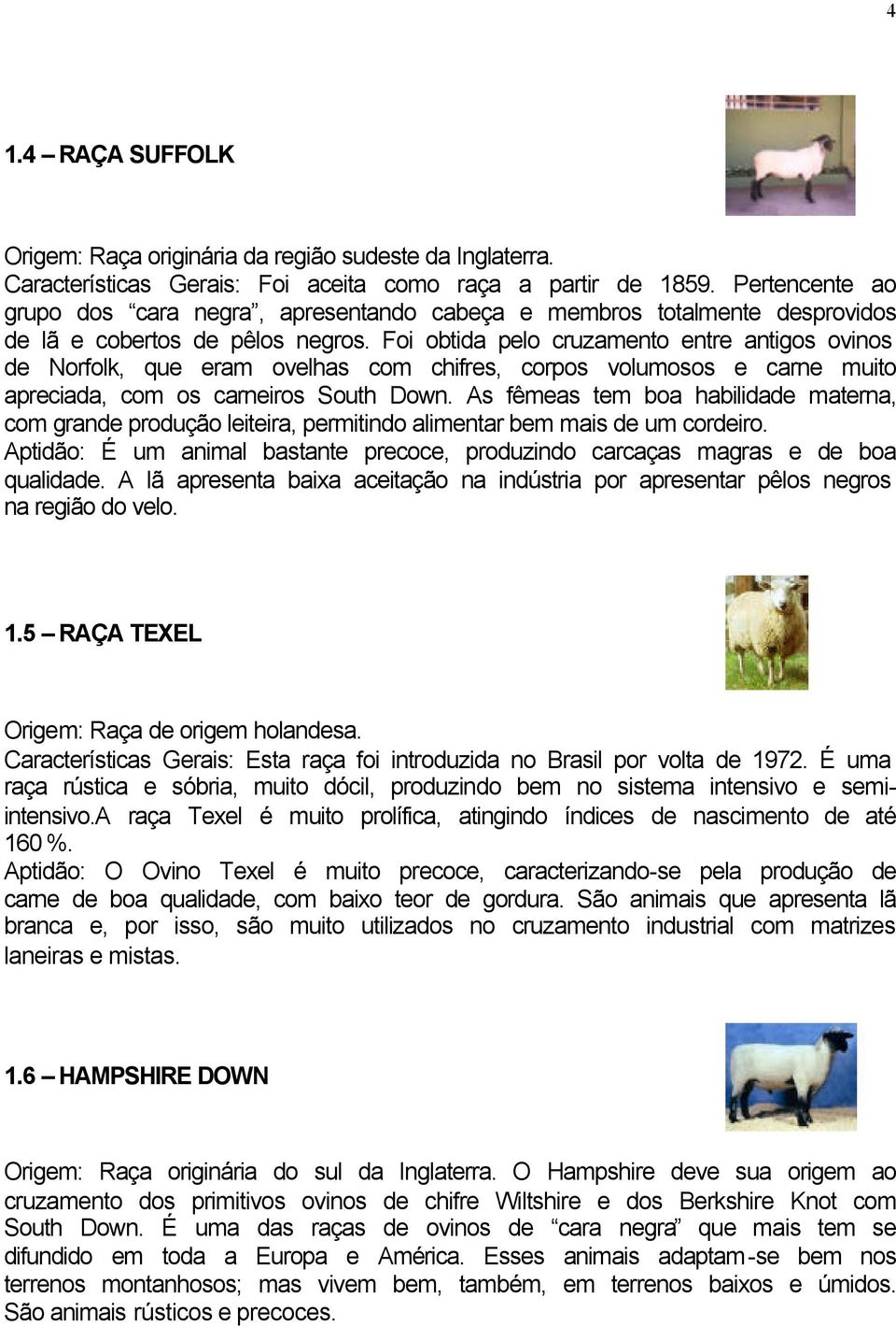 Foi obtida pelo cruzamento entre antigos ovinos de Norfolk, que eram ovelhas com chifres, corpos volumosos e carne muito apreciada, com os carneiros South Down.