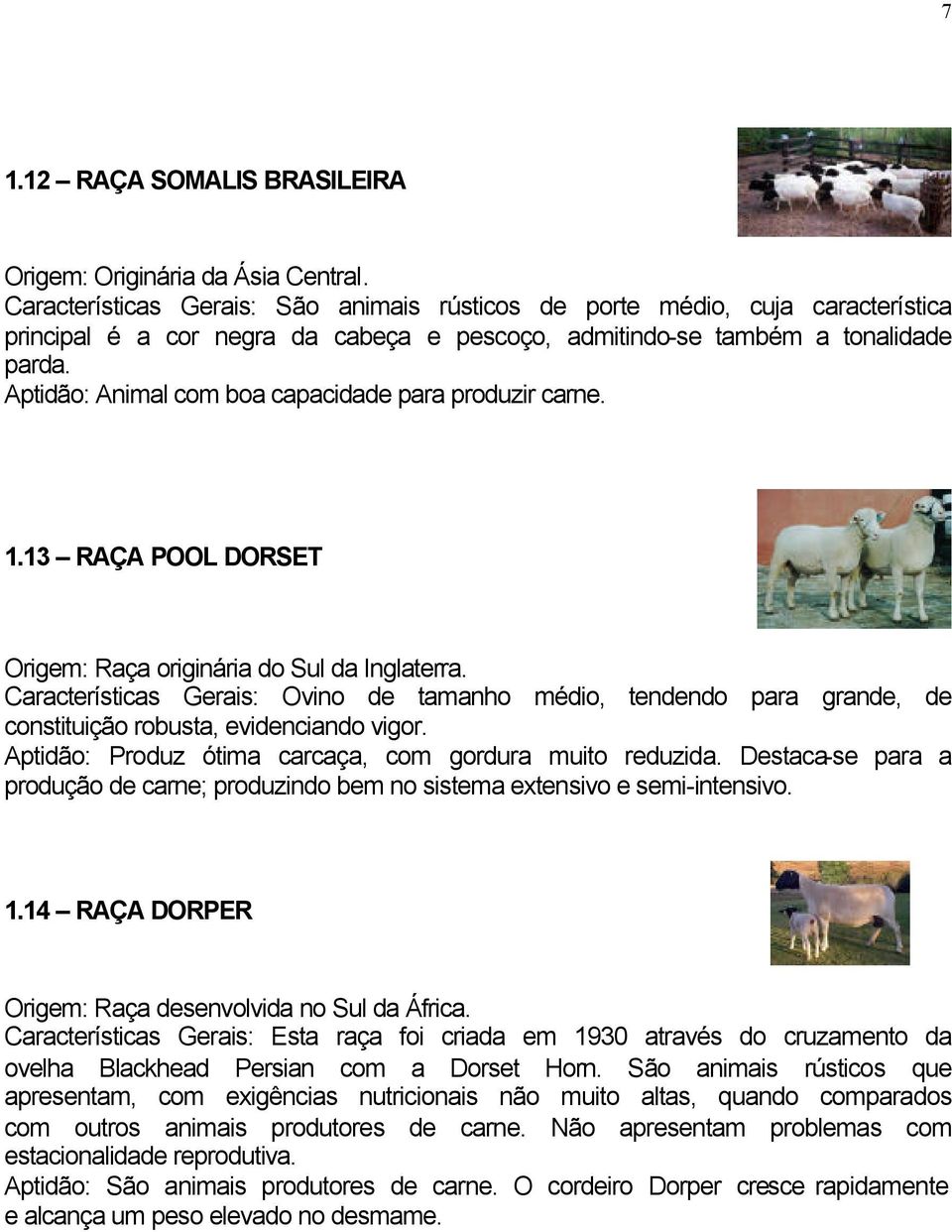 Aptidão: Animal com boa capacidade para produzir carne. 1.13 RAÇA POOL DORSET Origem: Raça originária do Sul da Inglaterra.