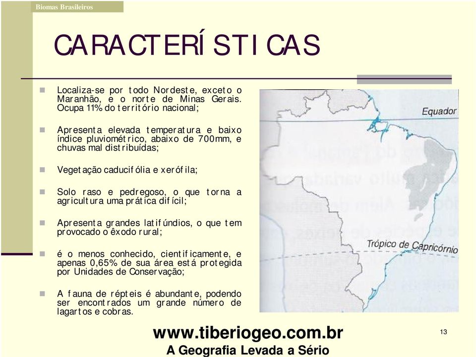 caducifólia e xerófila; Solo raso e pedregoso, o que torna a agricultura uma prática difícil; Apresenta grandes latifúndios, o que tem provocado o