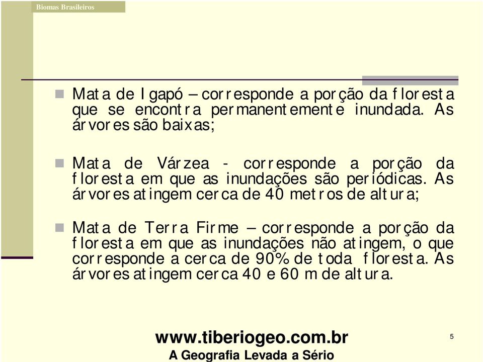 As árvores atingem cerca de 40 metros de altura; Mata de Terra Firme corresponde a porção da floresta em que