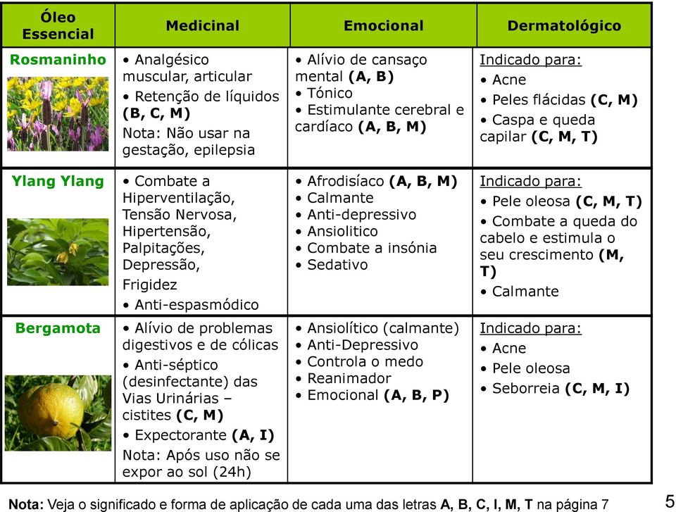 Anti-espasmódico Afrodisíaco (A, B, Calmante Anti-depressivo Ansiolitico Combate a insónia Sedativo Pele oleosa (C, M, T) Combate a queda do cabelo e estimula o seu crescimento (M, T) Calmante