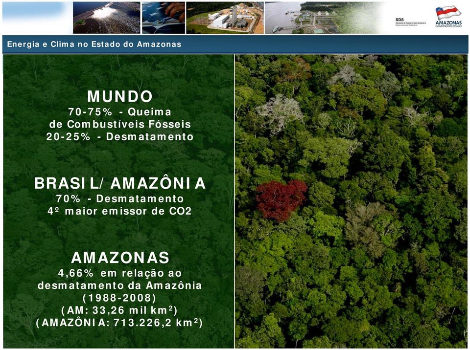 emissor de CO2 AMAZONAS 4,66% em relação ao desmatamento da