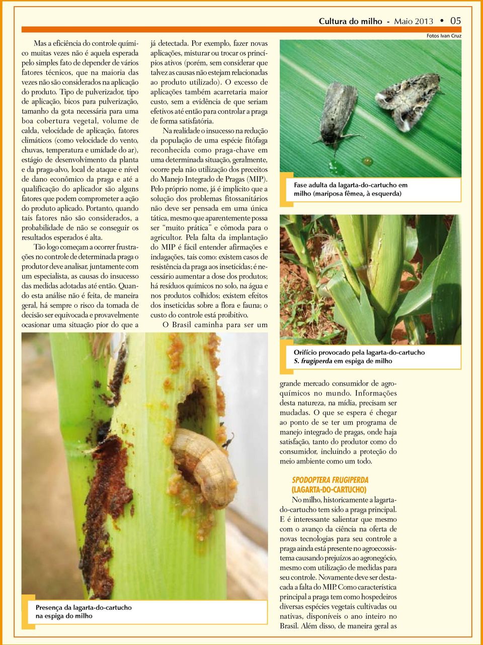 Tipo de pulverizador, tipo de aplicação, bicos para pulverização, tamanho da gota necessária para uma boa cobertura vegetal, volume de calda, velocidade de aplicação, fatores climáticos (como