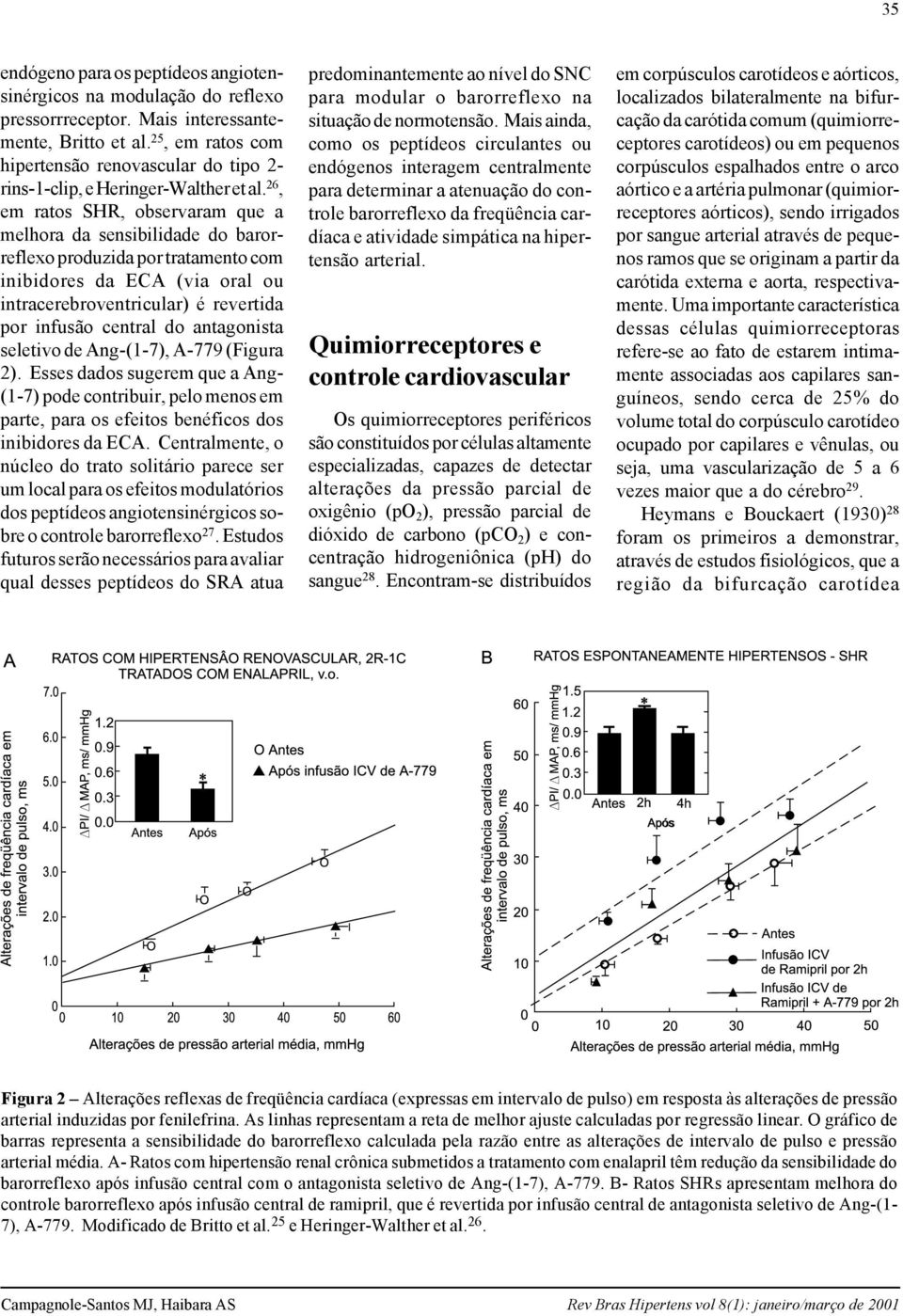 26, em ratos SHR, observaram que a melhora da sensibilidade do barorreflexo produzida por tratamento com inibidores da ECA (via oral ou intracerebroventricular) é revertida por infusão central do