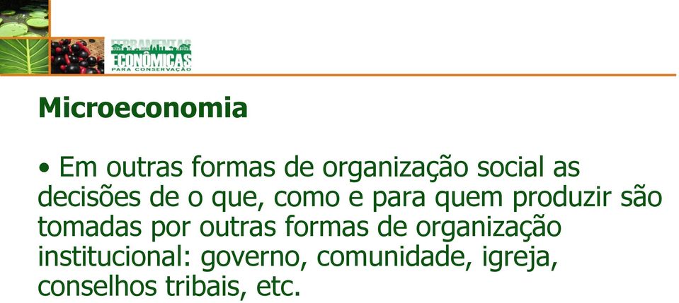 tomadas por outras formas de organização