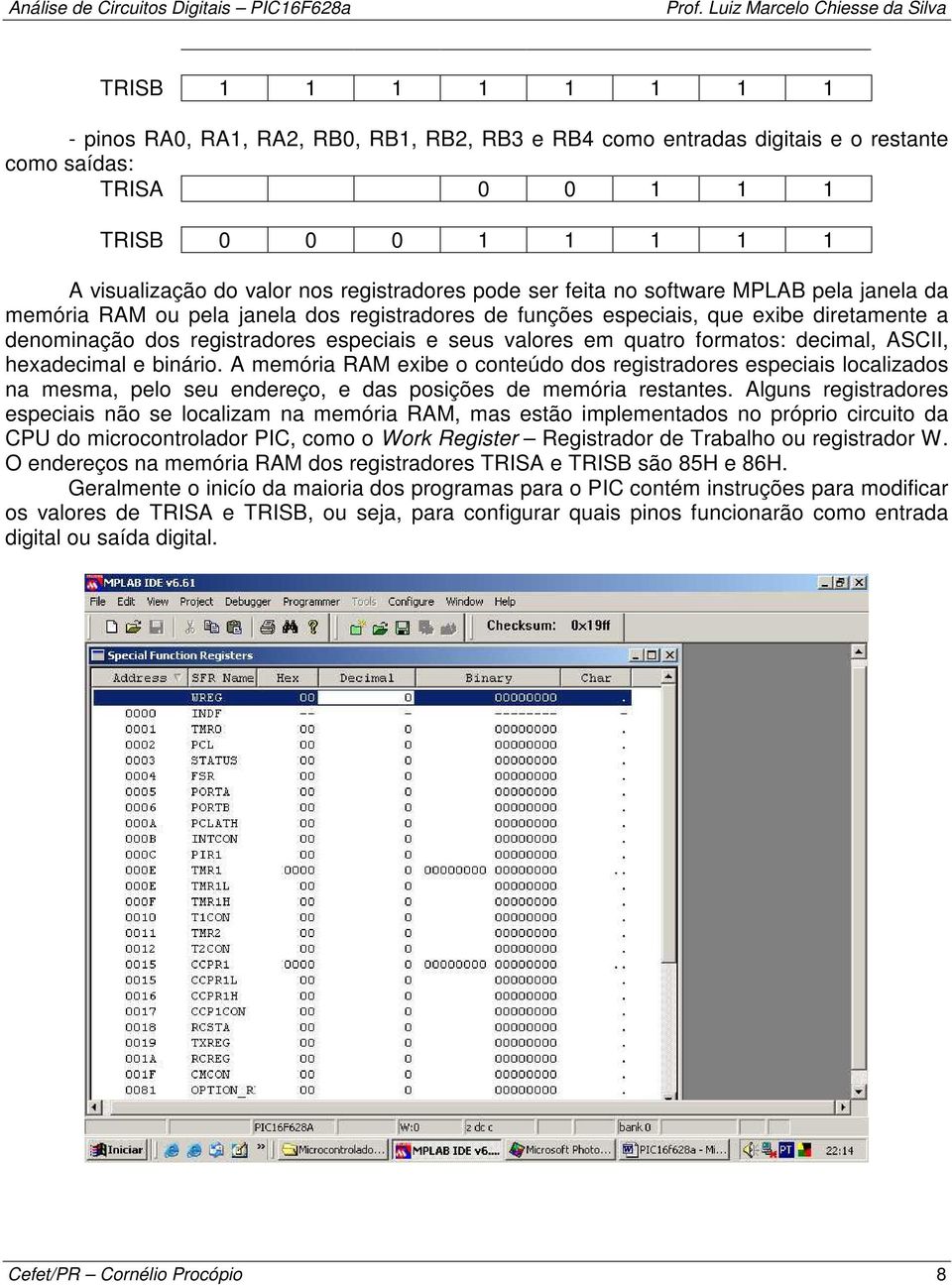 quatro formatos: decimal, ASCII, hexadecimal e binário. A memória RAM exibe o conteúdo dos registradores especiais localizados na mesma, pelo seu endereço, e das posições de memória restantes.