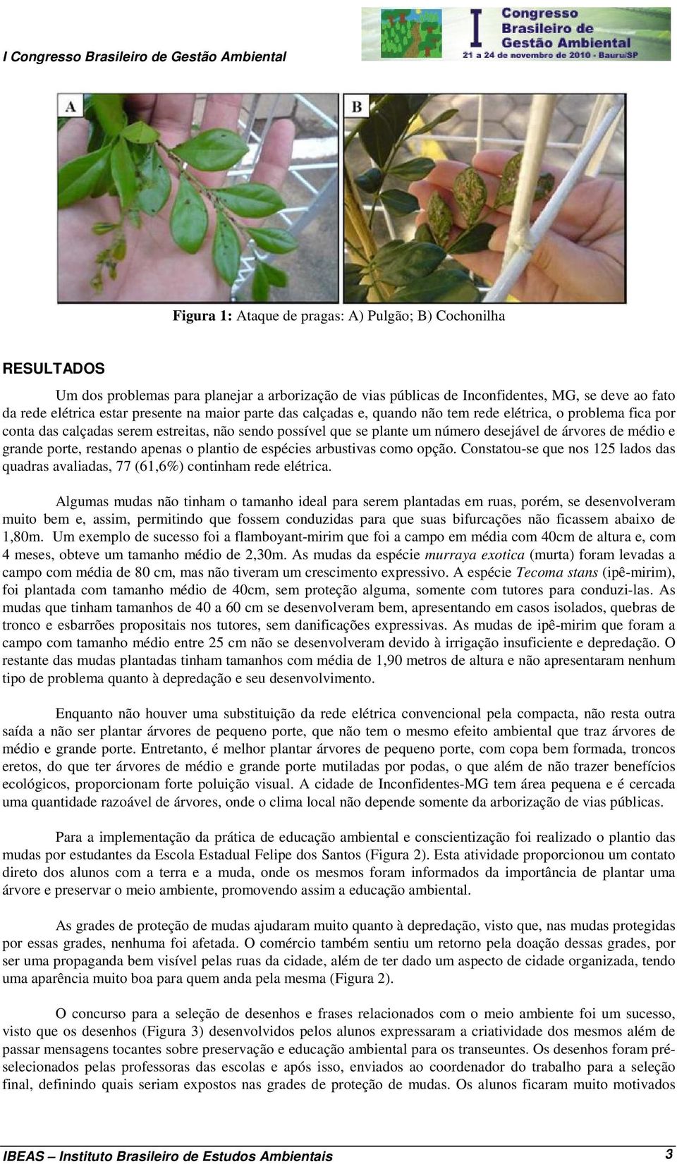 porte, restando apenas o plantio de espécies arbustivas como opção. Constatou-se que nos 125 lados das quadras avaliadas, 77 (61,6%) continham rede elétrica.