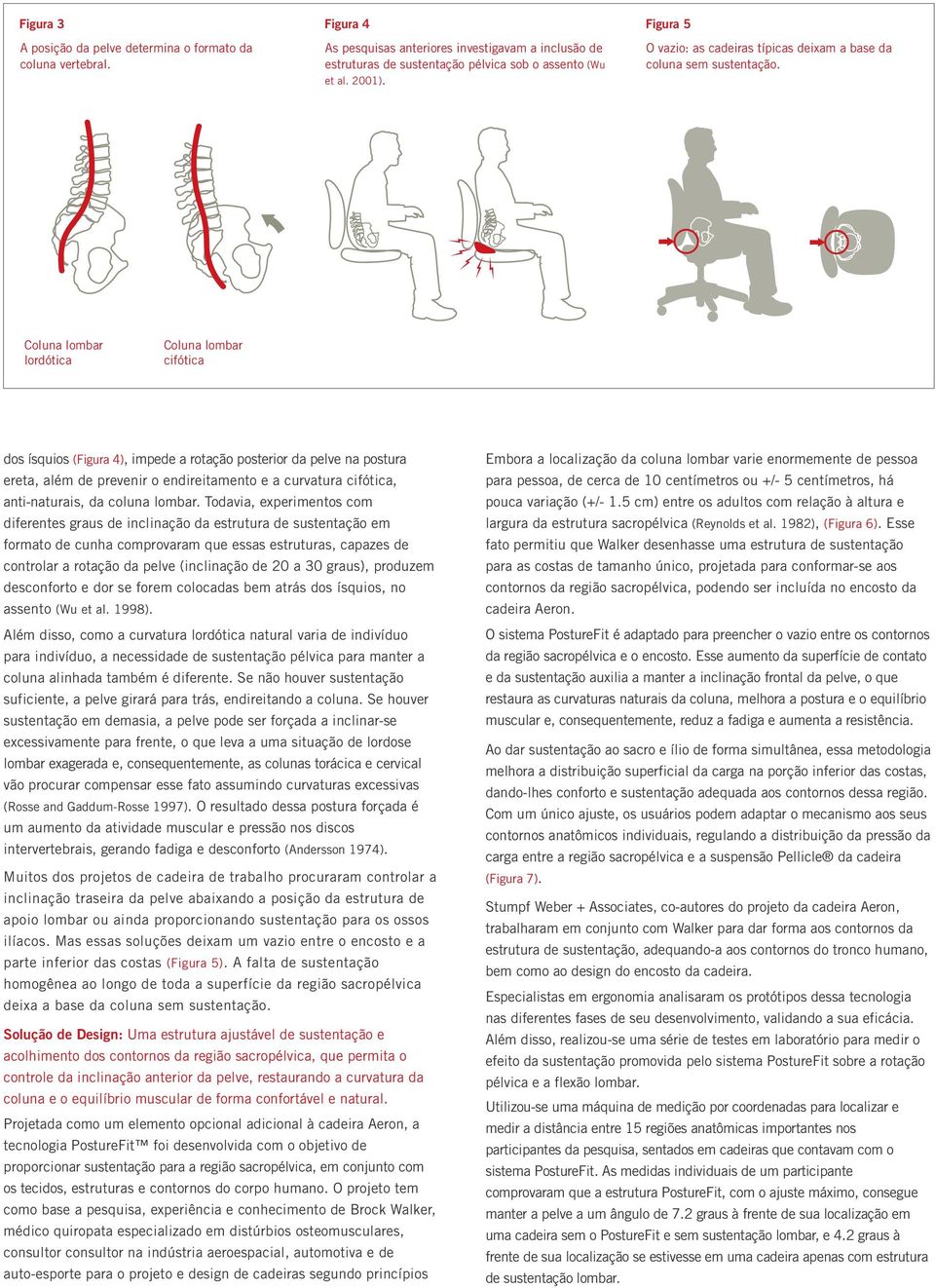 Coluna lombar lordótica Coluna lombar cifótica dos ísquios (Figura 4), impede a rotação posterior da pelve na postura ereta, além de prevenir o endireitamento e a curvatura cifótica, anti-naturais,